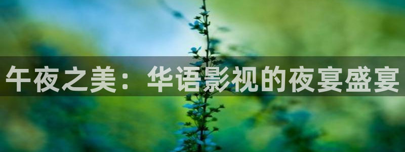 龙门nba直播：午夜之美：华语影视的夜宴盛宴