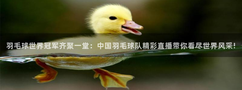 龙门直播官网下载：羽毛球世界冠军齐聚一堂：中国羽毛球队精彩直播带你看尽世界风采!