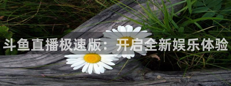 龙门直播间在线观看：斗鱼直播极速版：开启全新娱乐体验