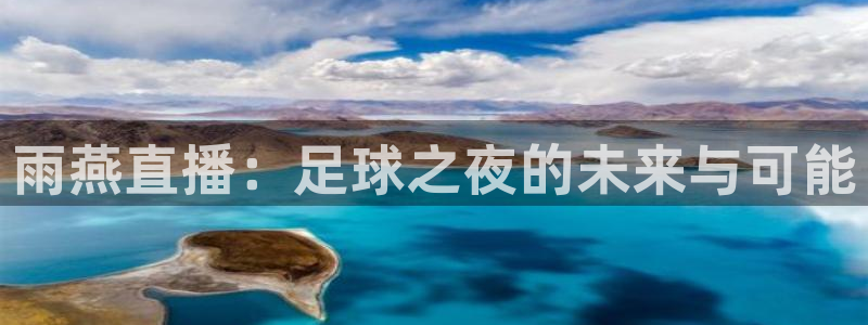 龙门体育免费直播：雨燕直播：足球之夜的未来与可能