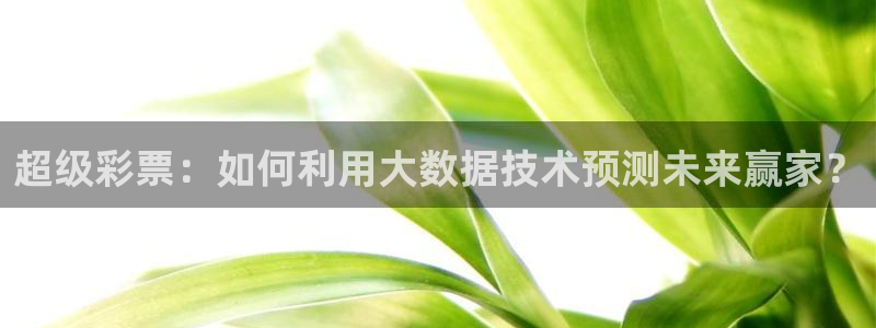 龙门直播体育直播：超级彩票：如何利用大数据技术预测未来赢家？