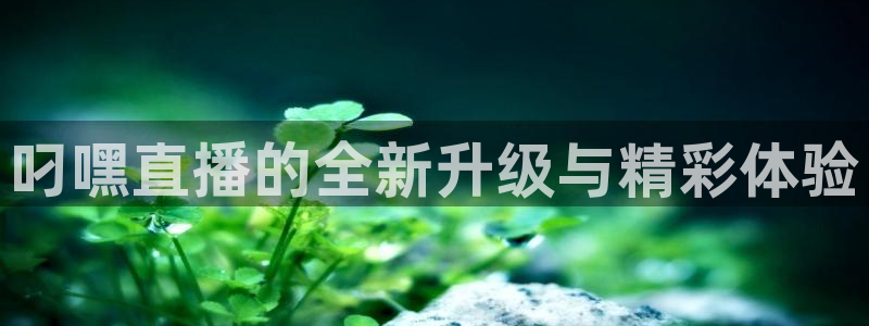 龙门直播nba下载：叼嘿直播的全新升级与精彩体验
