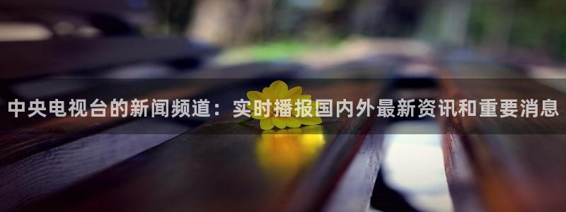 龙门免费直播：中央电视台的新闻频道：实时播报国内外最新资讯和重要消息