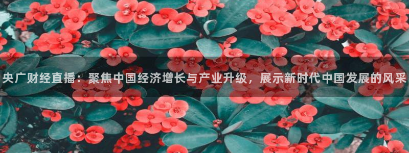 nba龙门直播：央广财经直播：聚焦中国经济增长与产业升级，展示新时代中国发展的风采