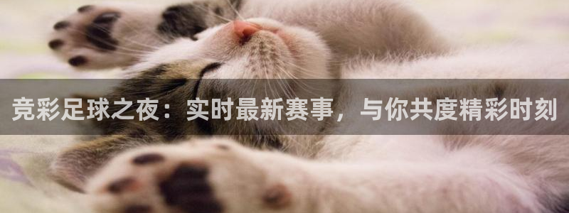 龙门体育在线直播：竞彩足球之夜：实时最新赛事，与你共度精彩时刻