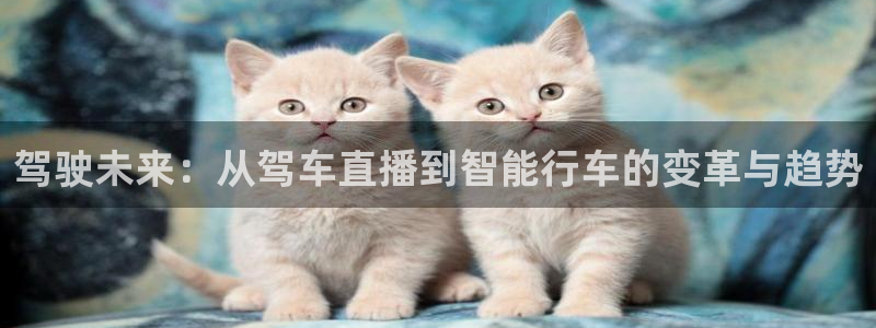 龙门直播app：驾驶未来：从驾车直播到智能行车的变革与趋势